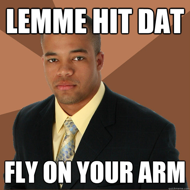 LEMME HIT DAT FLY ON YOUR ARM - LEMME HIT DAT FLY ON YOUR ARM  Successful Black Man