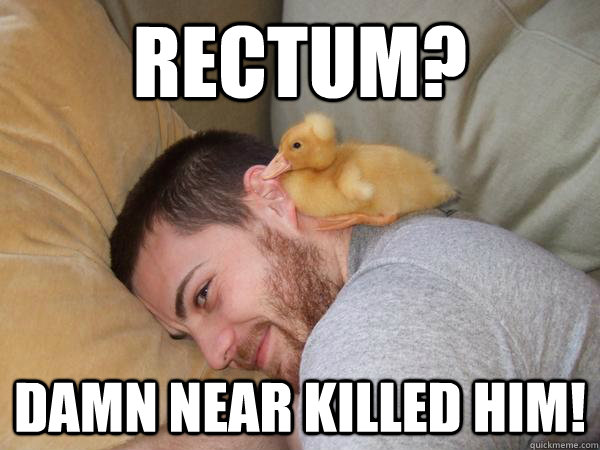 rectum? damn near killed him!  