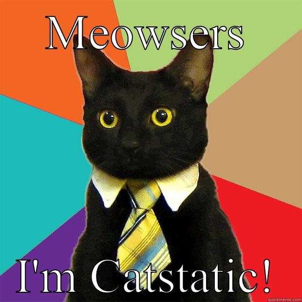 MEOWSERS I'M CATSTATIC! Business Cat