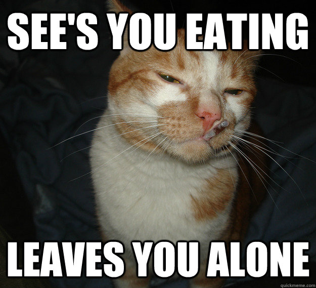 see's you eating leaves you alone  Cool Cat Craig