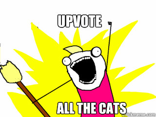 UPVOTE               All the cats  All The Things