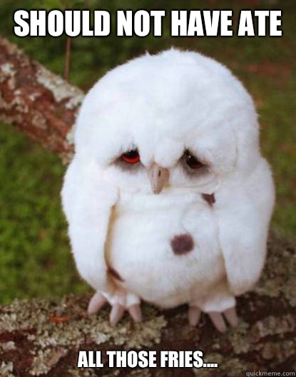 Should not have ate  all those fries....  Depressed Owl
