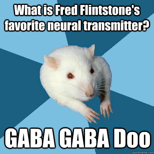 What is Fred Flintstone's favorite neural transmitter? GABA GABA Doo - What is Fred Flintstone's favorite neural transmitter? GABA GABA Doo  Psychology Major Rat