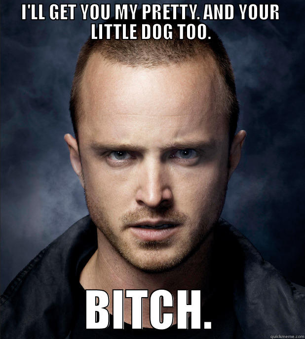 AND YOUR LITTLE DOG TOO - I'LL GET YOU MY PRETTY. AND YOUR LITTLE DOG TOO. BITCH. Misc