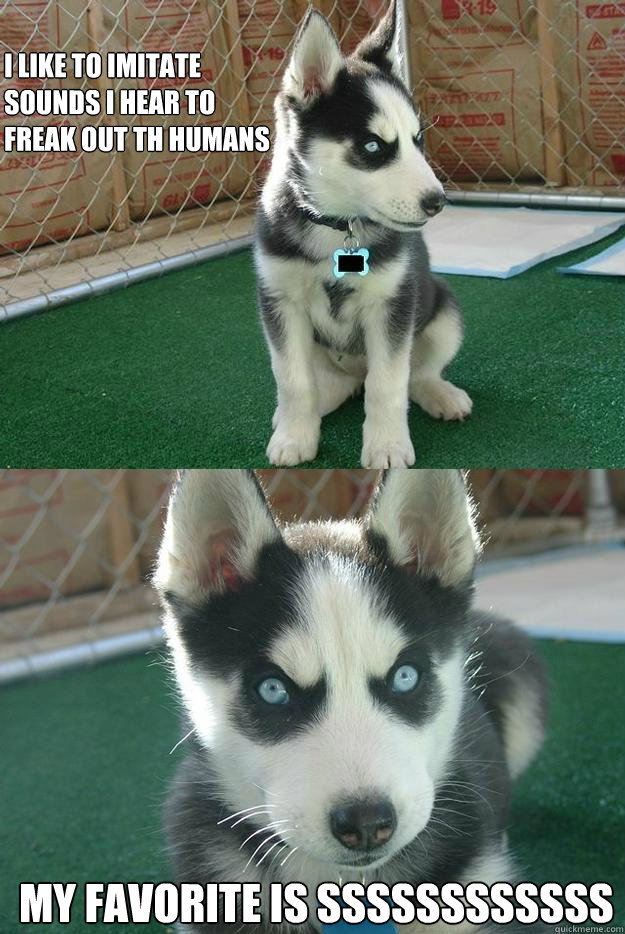 I like to imitate
sounds i hear to 
freak out th humans My favorite is SSSSSsssssss  Insanity puppy