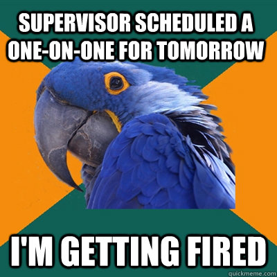 supervisor scheduled a one-on-one for tomorrow I'm getting fired  Paranoid Parrot