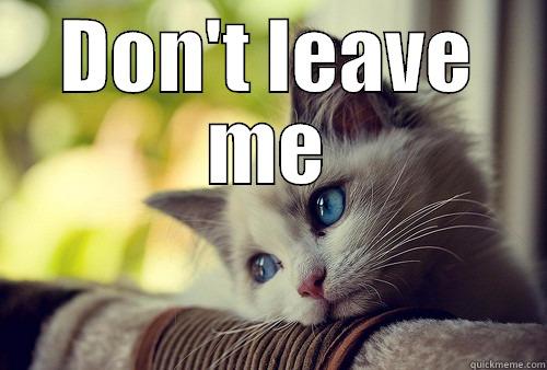 Don't go - DON'T LEAVE ME  First World Problems Cat