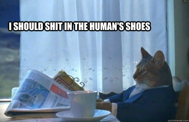 I should shit in the human's shoes  Sophisticated Cat