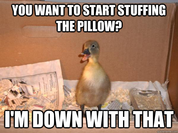 You want to start stuffing the pillow? I'm down with that  