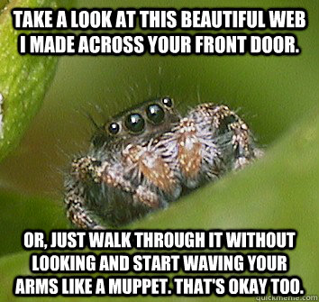 Take a look at this beautiful web I made across your front door. Or, just walk through it without looking and start waving your arms like a muppet. That's okay too.  Misunderstood Spider