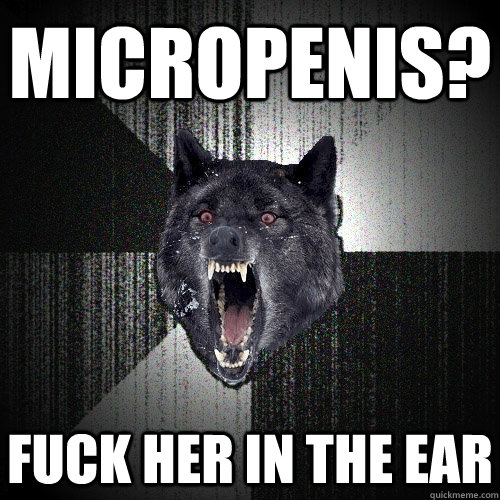 micropenis? fuck her in the ear  Insanity Wolf