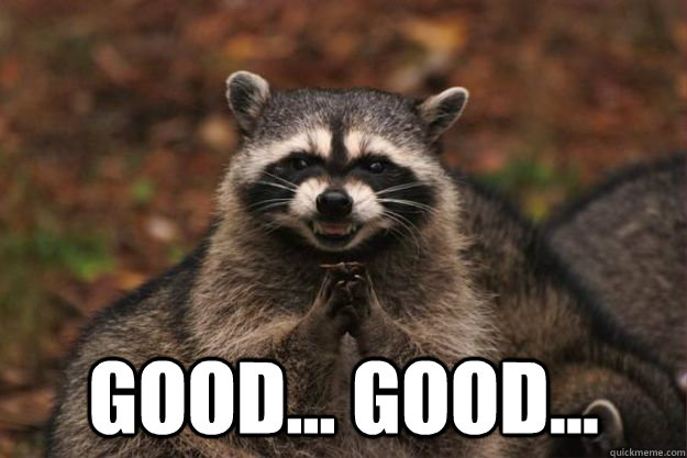  Good... Good... -  Good... Good...  Evil Plotting Raccoon