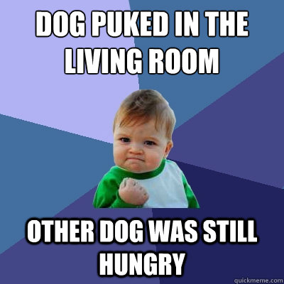 Dog puked in the living room
 Other dog was still hungry  Success Kid