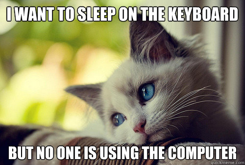 I want to sleep on the keyboard But no one is using the computer - I want to sleep on the keyboard But no one is using the computer  First World Cat Problems