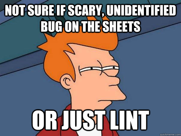 Not sure if scary, unidentified bug on the sheets or just lint  Futurama Fry