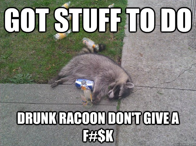 Got Stuff to do drunk racoon don't give a F#$K  