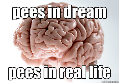 pees in dream pees in real life  - pees in dream pees in real life   Scumbag Brain