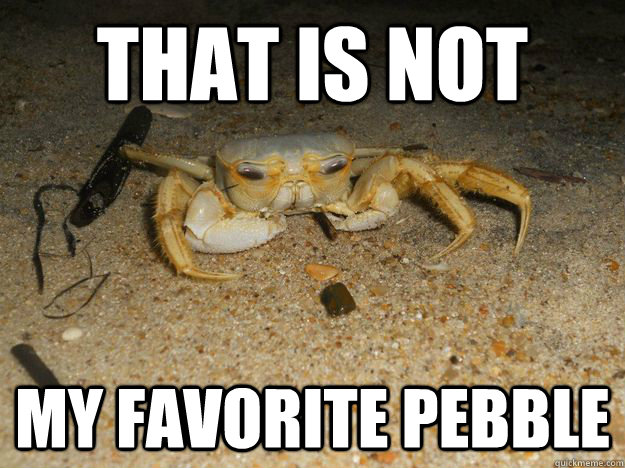 THAT IS NOT MY FAVORITE PEBBLE  SAD CRAB MEME