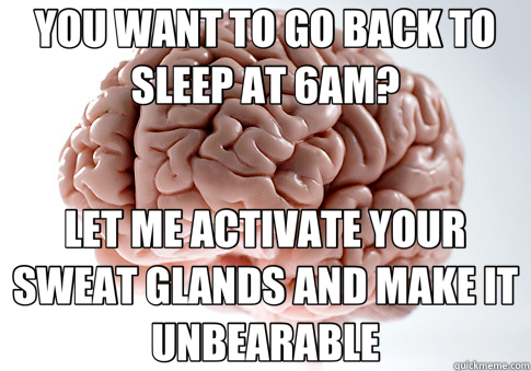 YOU WANT TO GO BACK TO SLEEP AT 6AM? LET ME ACTIVATE YOUR SWEAT GLANDS AND MAKE IT UNBEARABLE  Scumbag Brain
