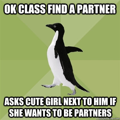 Ok class find a partner asks cute girl next to him if she wants to be partners  Socially Average Penguin