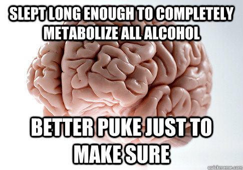 slept long enough to completely metabolize all alcohol better puke just to make sure  Scumbag Brain