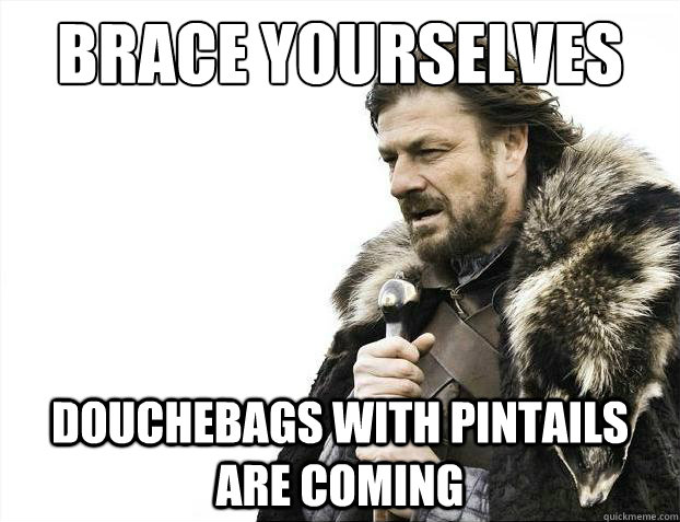 Brace yourselves Douchebags with pintails are coming - Brace yourselves Douchebags with pintails are coming  Brace Yourselves - Borimir