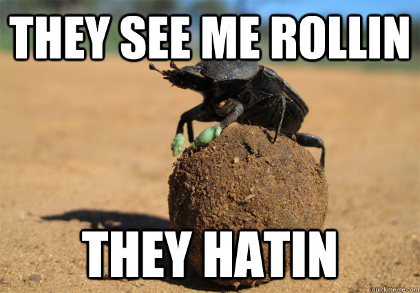 They see me rollin They hatin - They see me rollin They hatin  Dung Beetle Rollin