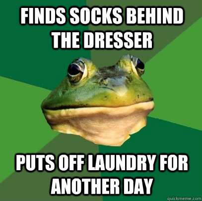 Finds socks behind the dresser Puts off laundry for another day  Foul Bachelor Frog