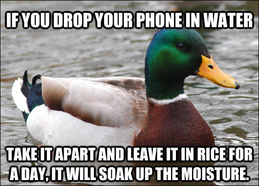If you drop your phone in water take it apart and leave it in rice for a day, it will soak up the moisture.   Actual Advice Mallard