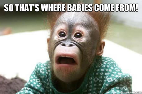 So that's where babies come from!  - So that's where babies come from!   Sudden realization