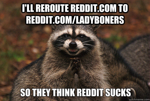 I'll reroute reddit.com to reddit.com/ladyboners  So they think reddit sucks  Insidious Racoon 2