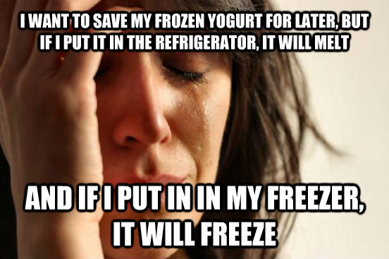 I WANT TO SAVE MY FROZEN YOGURT FOR LATER, BUT IF I PUT IT IN THE REFRIGERATOR, IT WILL MELT AND IF I PUT IN IN MY FREEZER, IT WILL FREEZE  First World Problems