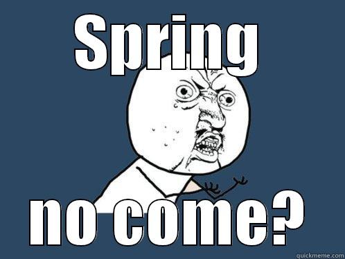 SPRING NO COME? Y U No