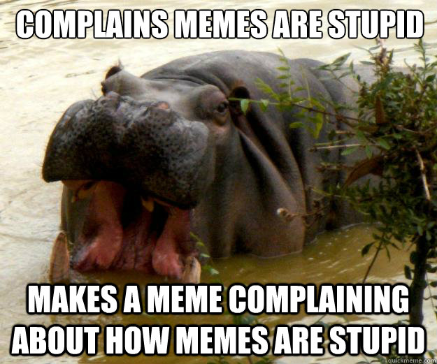 Complains memes are stupid Makes a meme complaining about how memes are stupid  Hypocrite Hippo