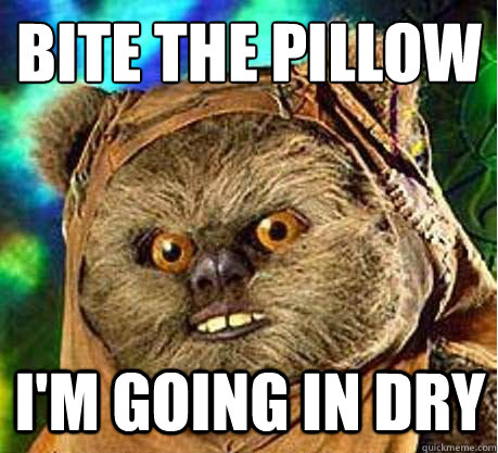 BITE THE PILLOW I'M GOING IN DRY - BITE THE PILLOW I'M GOING IN DRY  Prepare your anus ewok