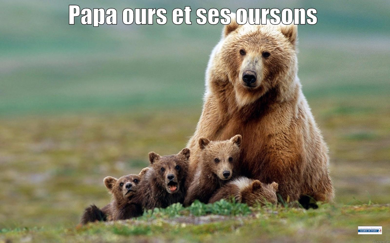 PAPA OURS ET SES OURSONS  Misc