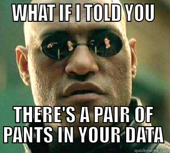  WHAT IF I TOLD YOU  THERE'S A PAIR OF PANTS IN YOUR DATA Matrix Morpheus