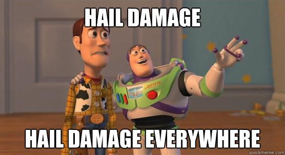 hail damage hail damage everywhere  Toy Story Everywhere