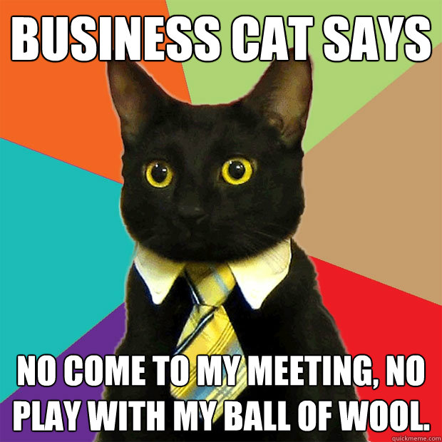 Business Cat Says No come to my meeting, no play with my ball of wool.  Business Cat