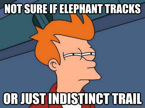 Not sure if elephant tracks Or just indistinct trail - Not sure if elephant tracks Or just indistinct trail  Futurama Fry