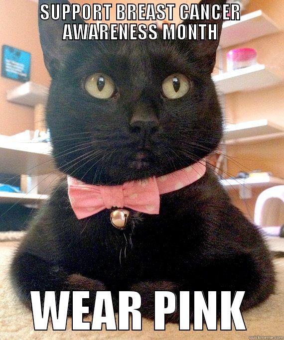 catty cat matt - SUPPORT BREAST CANCER AWARENESS MONTH WEAR PINK Misc