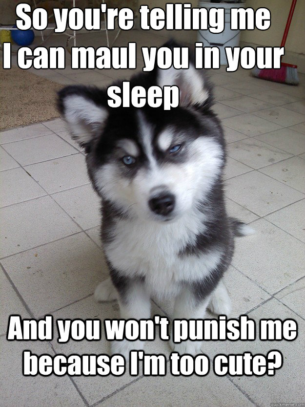 So you're telling me
I can maul you in your sleep And you won't punish me because I'm too cute?  