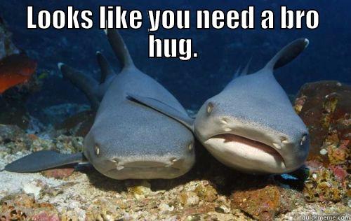 LOOKS LIKE YOU NEED A BRO HUG.  Compassionate Shark Friend