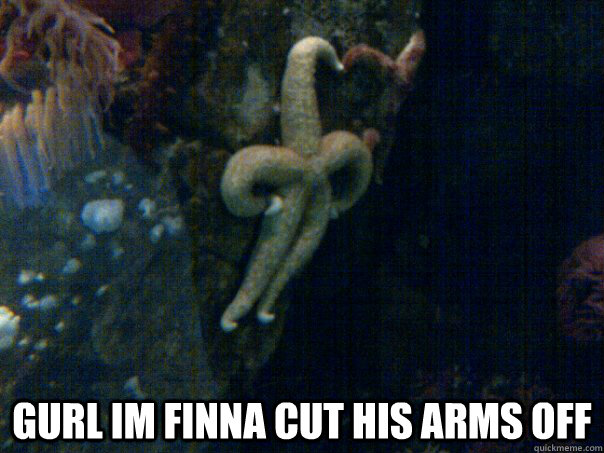  GURL IM FINNA CUT HIS ARMS OFF  Sassy Starfish