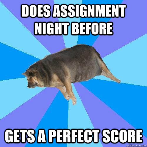 Does assignment night before  Gets a perfect score  - Does assignment night before  Gets a perfect score   Lazy college student