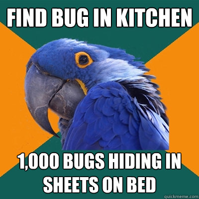 Find bug in kitchen 1,000 bugs hiding in sheets on bed  Paranoid Parrot