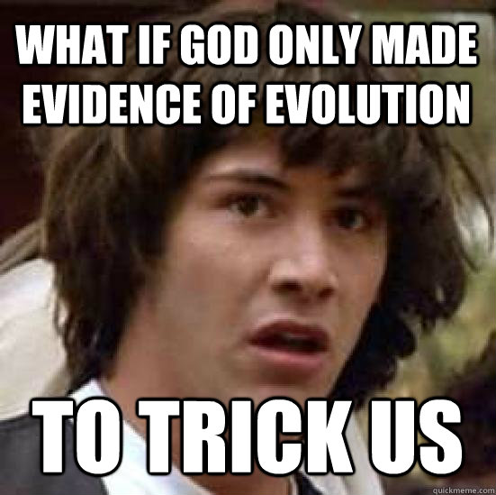 WHat if god only made evidence of evolution  to trick us - WHat if god only made evidence of evolution  to trick us  conspiracy keanu