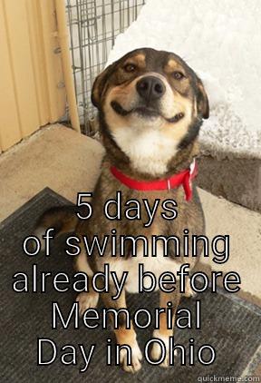  5 DAYS OF SWIMMING ALREADY BEFORE MEMORIAL DAY IN OHIO Good Dog Greg