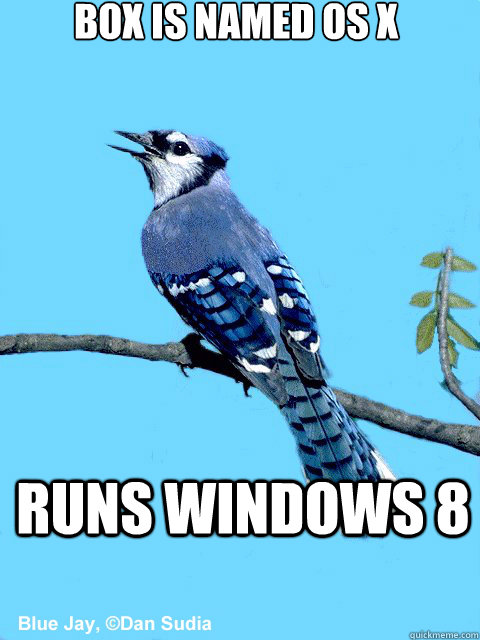 Box is named OS X Runs Windows 8  Blue Team Bird
