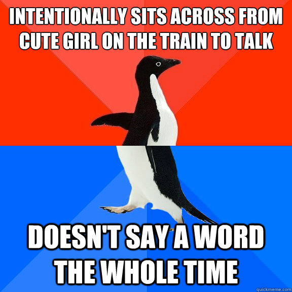 Intentionally sits across from cute girl on the train to talk Doesn't say a word the whole time  Socially Awesome Awkward Penguin